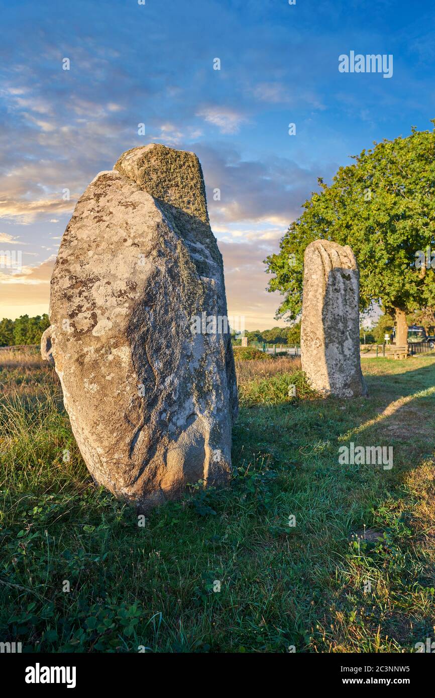 Vista dei monaliti di pietra di Carnac in piedi neolitici, Alignements du Kermario, un sito pre-celtico di pietre in piedi utilizzati dal 4500 al 2000 AC, Carnac è Foto Stock