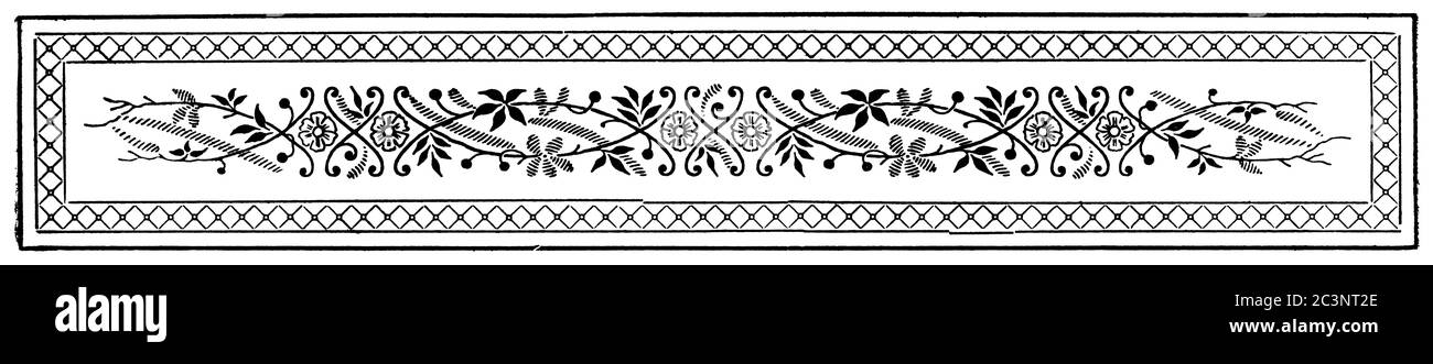 Ornamento astratto, separatore di capitolo in un libro. Illustrazione del 19 ° secolo. Sfondo bianco. Foto Stock