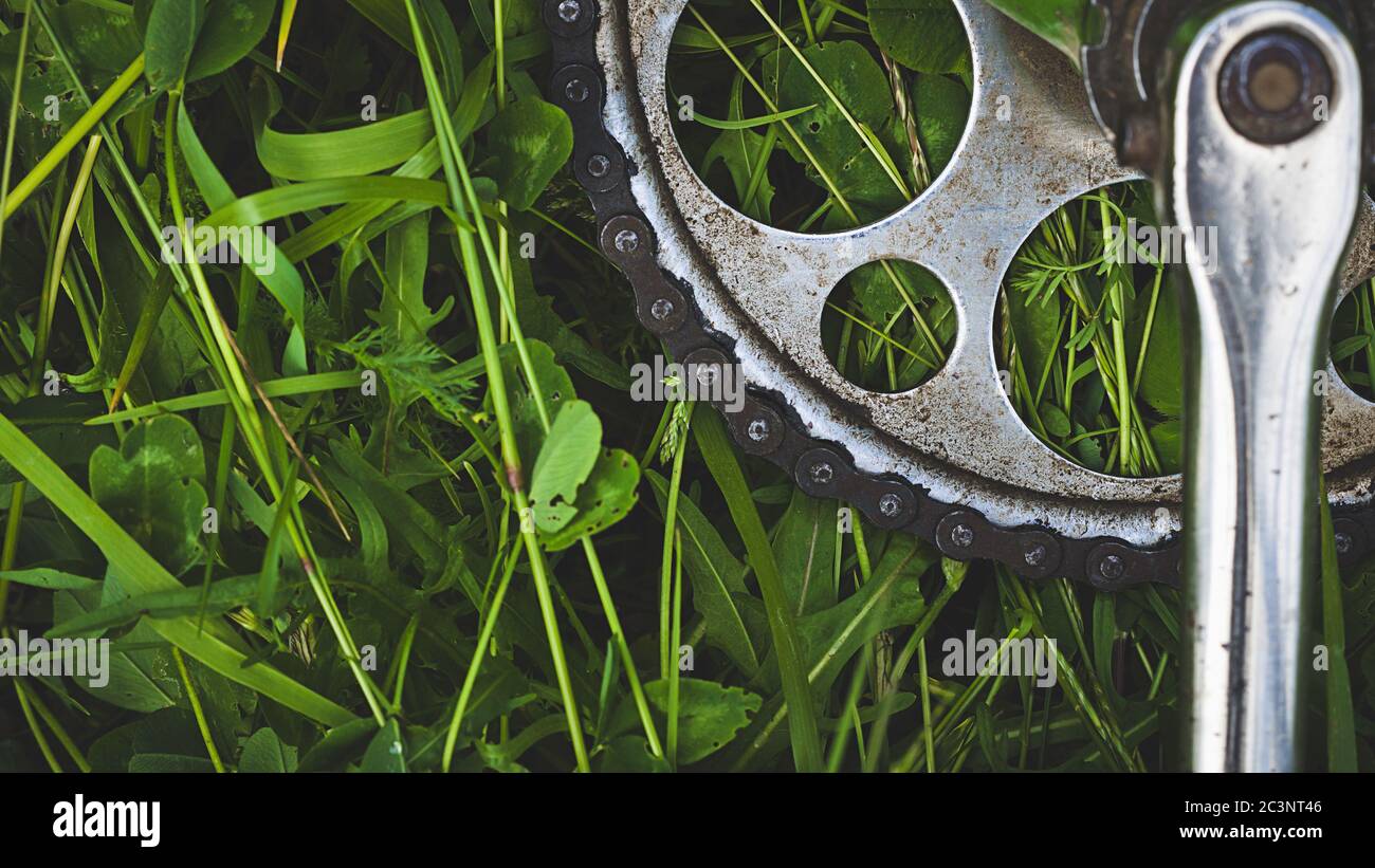 Ruota dentata per bicicletta sull'erba. Foto Stock