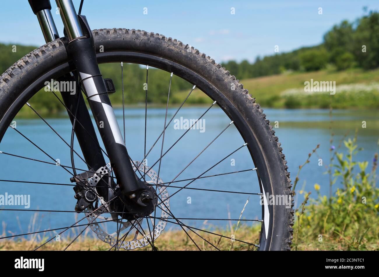 Ruota per mountain bike sul laghetto. Foto Stock