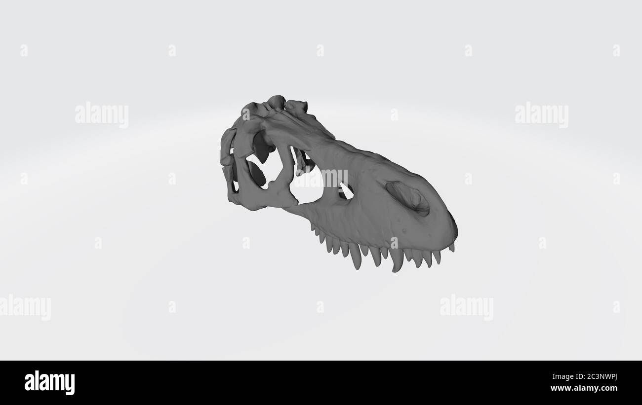 Cranio di dinosauro 3d Foto Stock