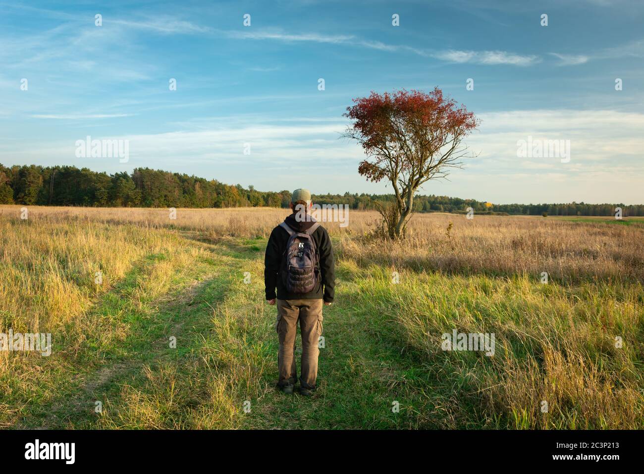 Un uomo con uno zaino in piedi davanti ad un albero nel prato, vista autunnale Foto Stock