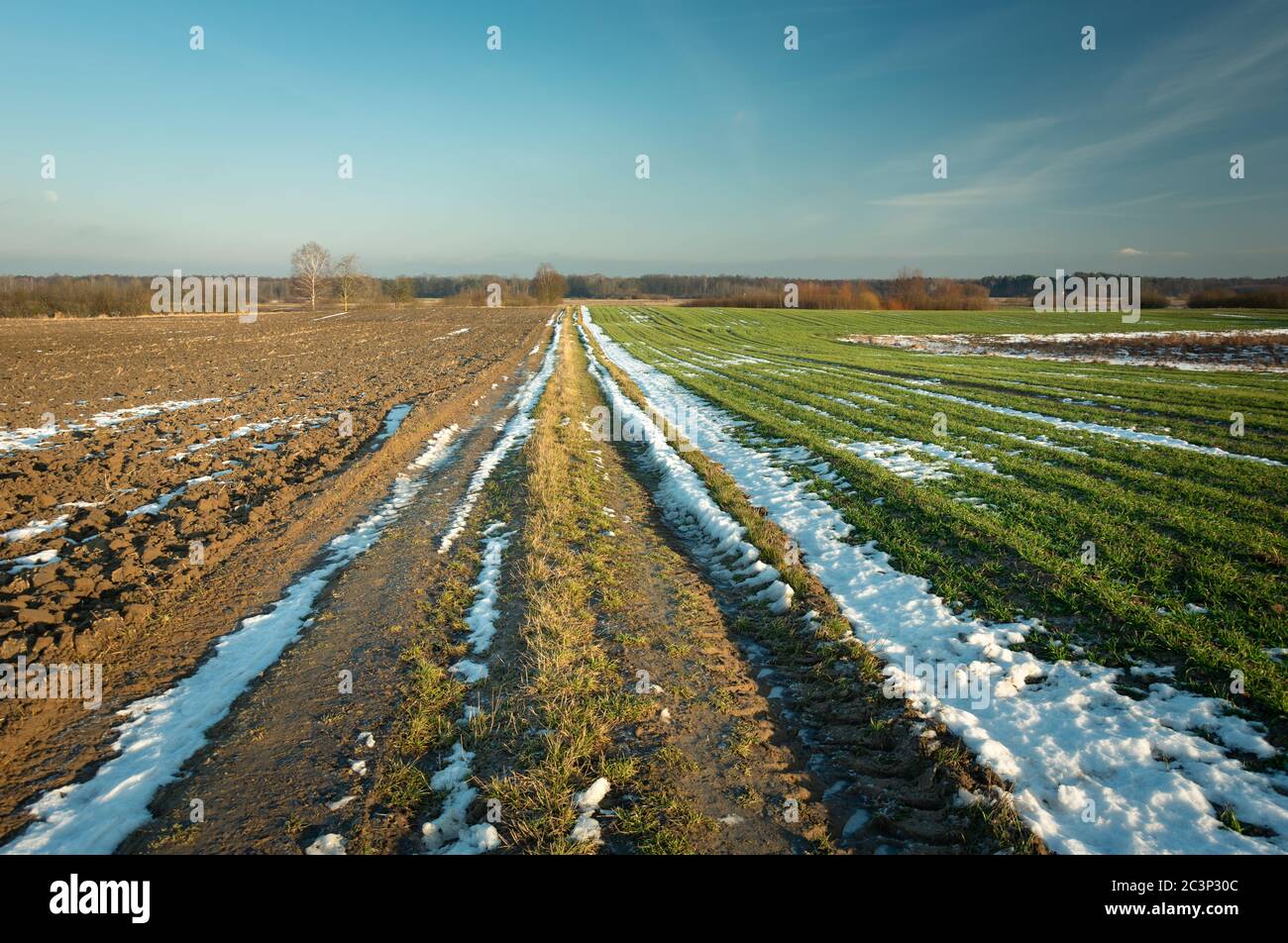 L'ultima neve sulla strada sterrata, campi e cielo serale, soleggiata vista giorno Foto Stock