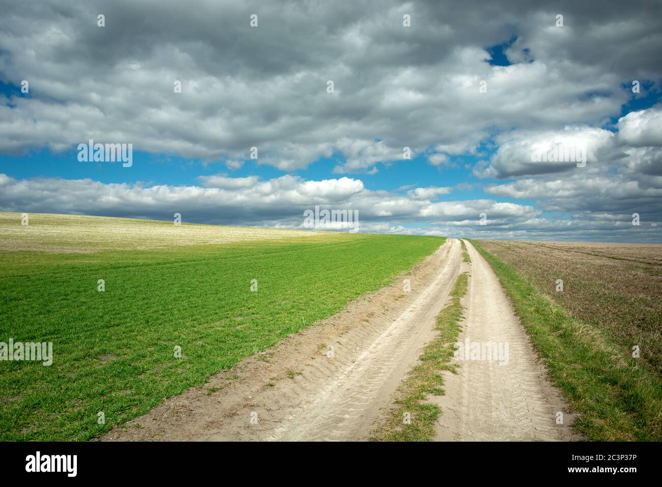 Una strada sterrata attraverso i campi verdi rurali sulla collina e le nuvole grigie sul cielo blu, vista nella Polonia orientale Foto Stock