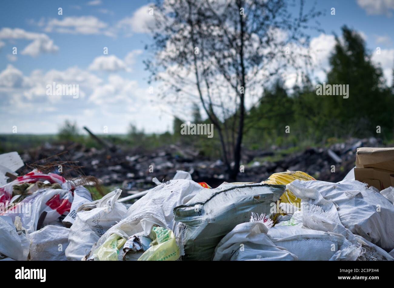 Primavera nella foresta russa. Inquinamento ambientale. Rifiuti in discarica vicino alla foresta. Foto Stock