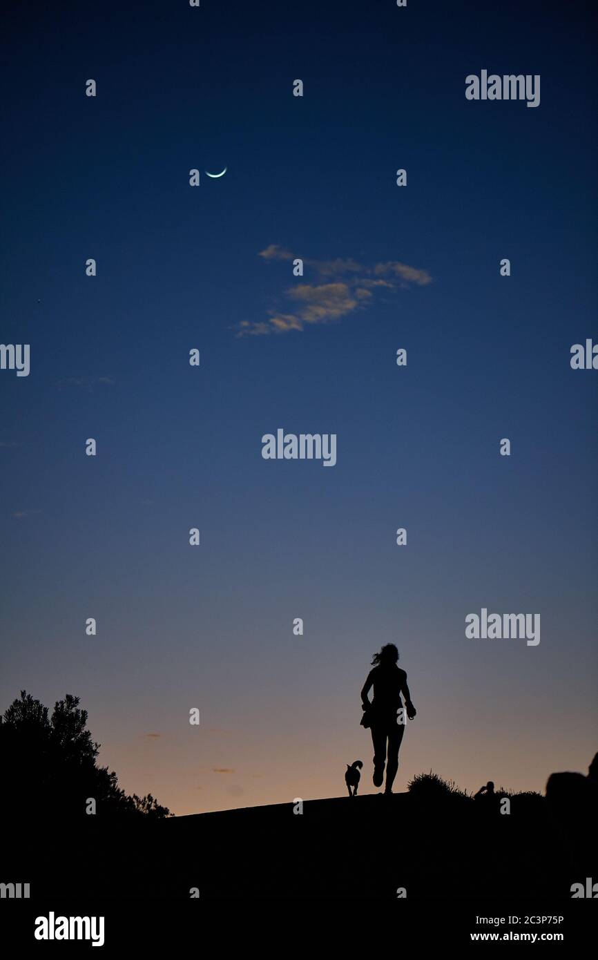 Silhouette di jogger e cane sul Monte Coetzenberg poco prima dell'alba Foto Stock