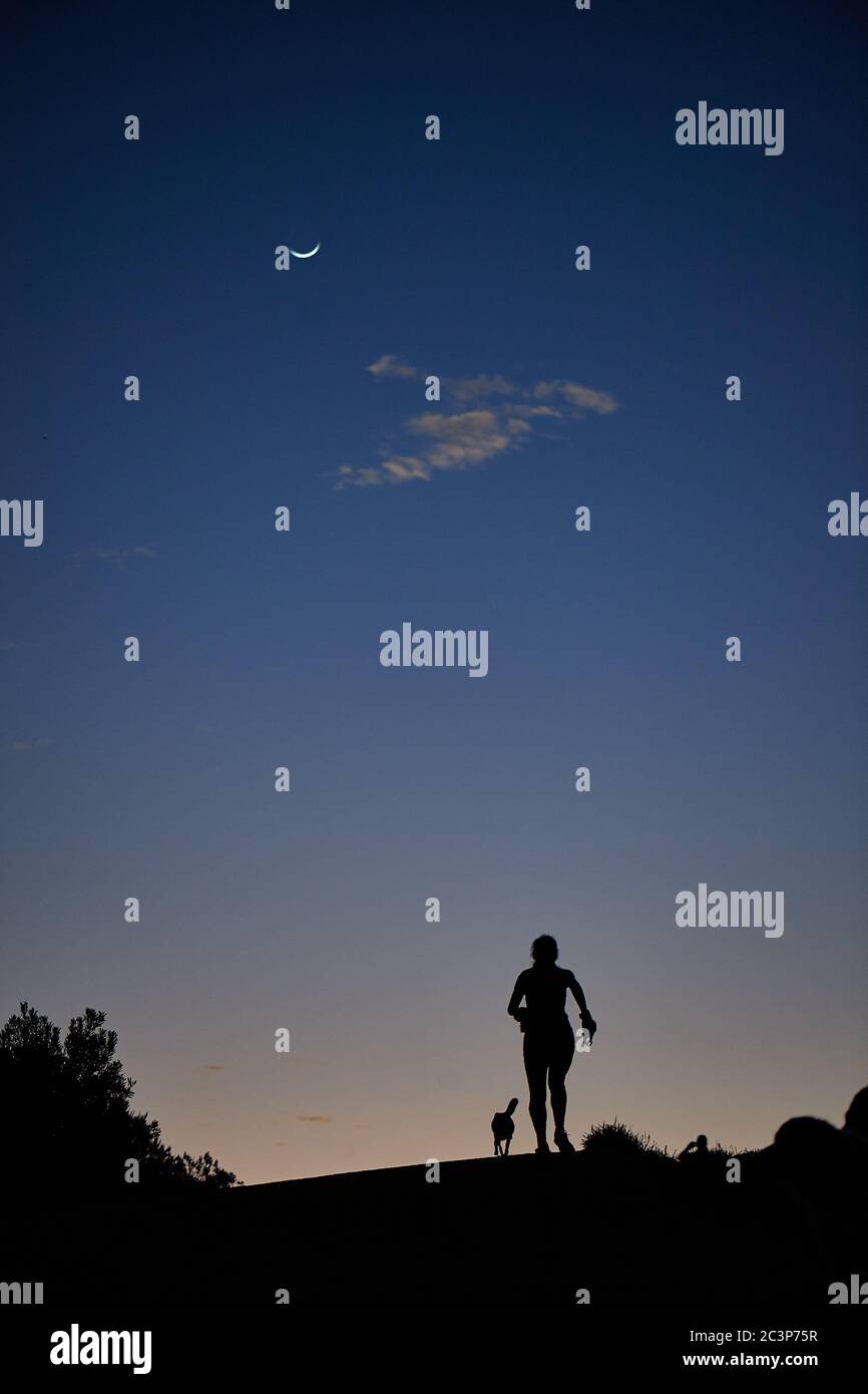 Silhouette di jogger e cane sul Monte Coetzenberg poco prima dell'alba Foto Stock