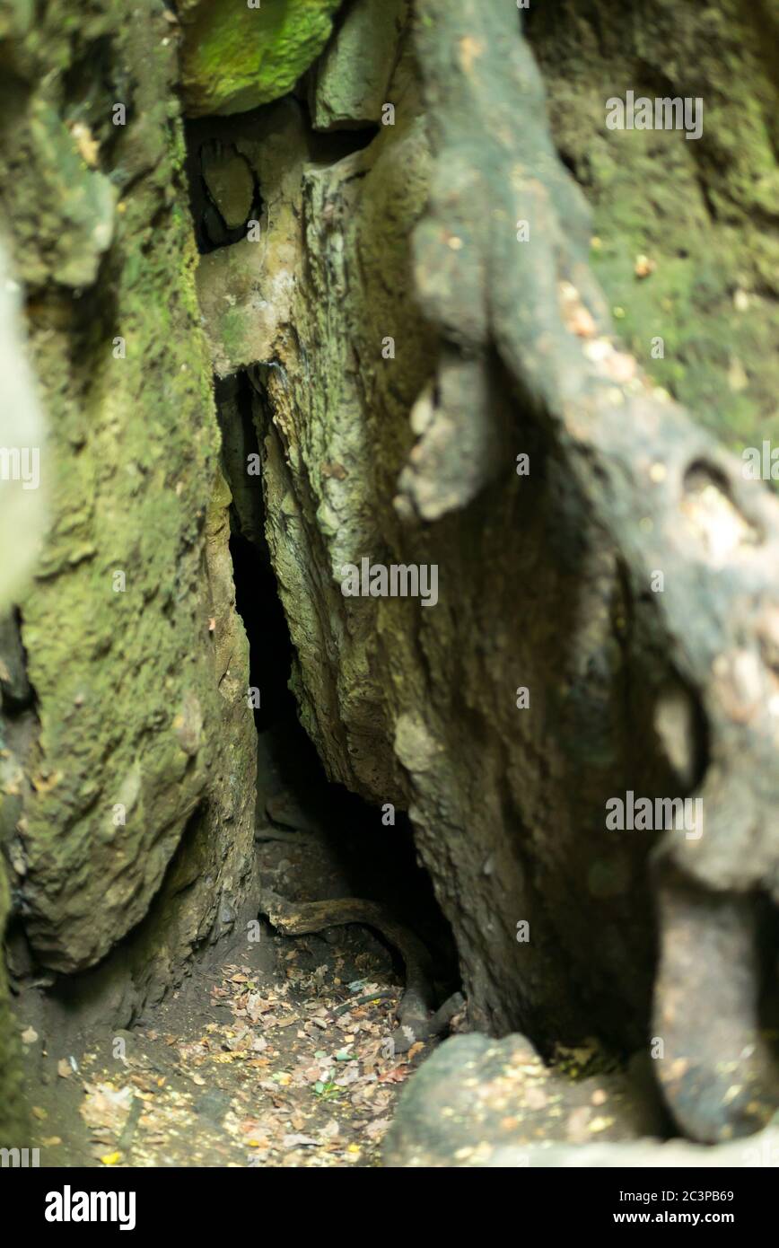 Vasas-szakadek, famosa grotta ungherese, abisso e sito di escursioni nelle montagne di Visegrad, in Ungheria. Foto Stock