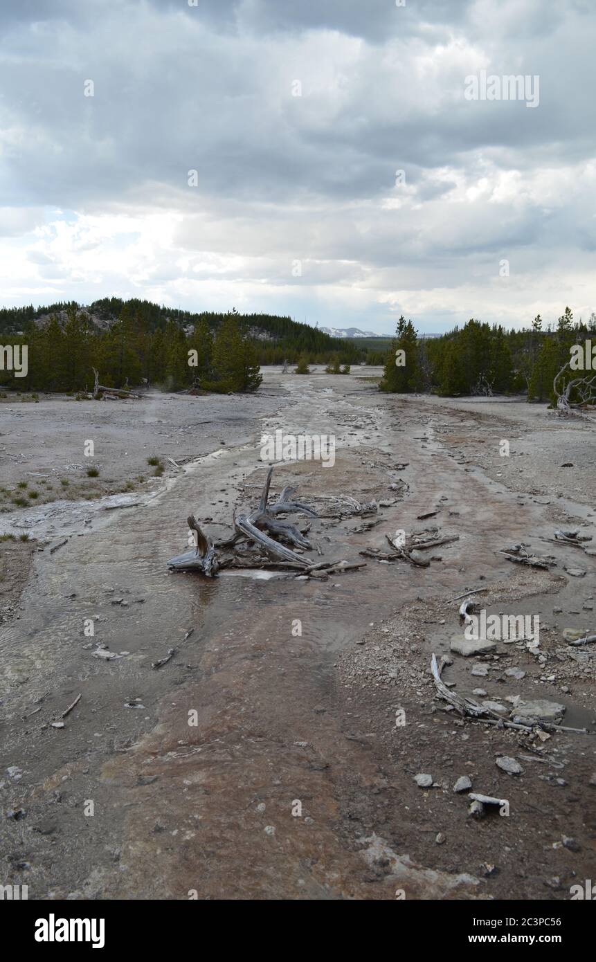 Primavera tarda nel Parco Nazionale di Yellowstone: Guardando a nord lungo il Tantalus Creek nella zona del bacino posteriore del bacino del Norris Geyser verso la catena della Gallatin Foto Stock