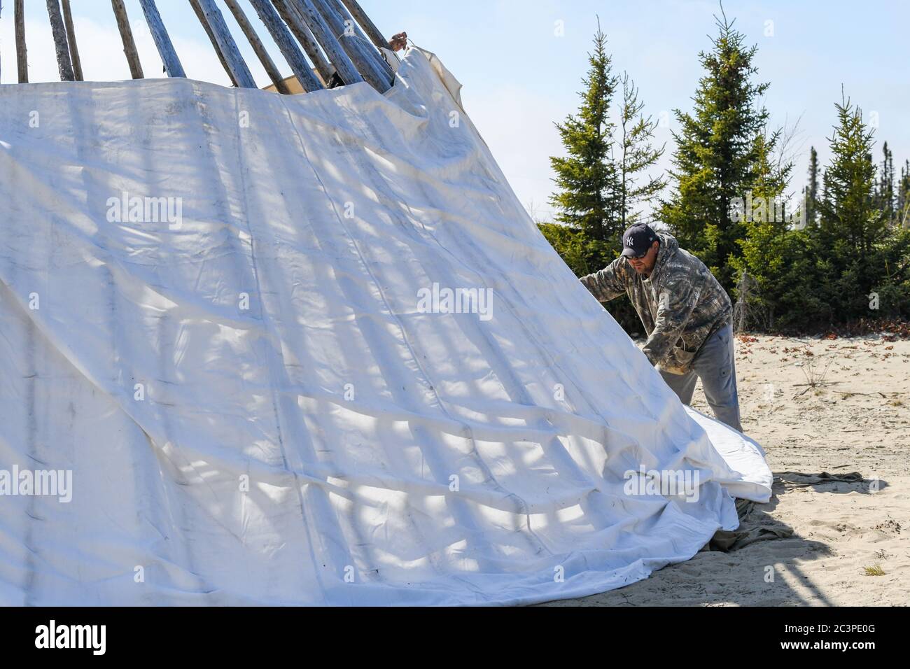 Uomo nativo che costruisce un teepee, Quebec, Canada Foto Stock