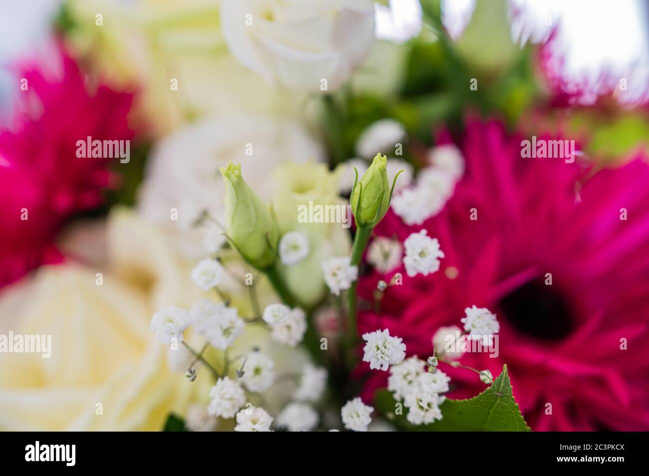 Vista closeup di un bouquet con rose bianche, rosa alpina, e fiori verde ragno mamma Foto Stock