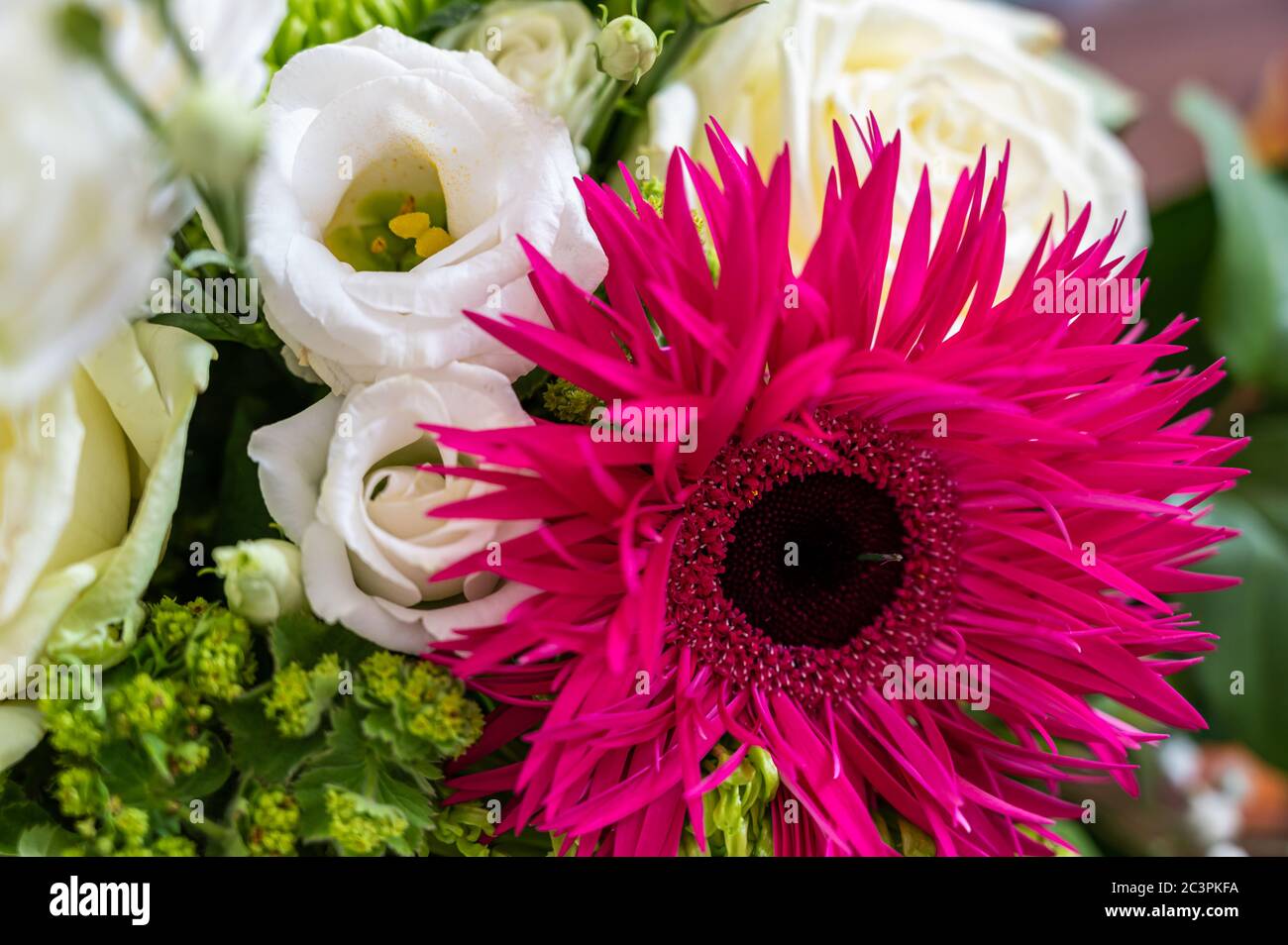 Vista closeup di un bouquet con rose bianche, rosa alpina, e fiori verde ragno mamma Foto Stock