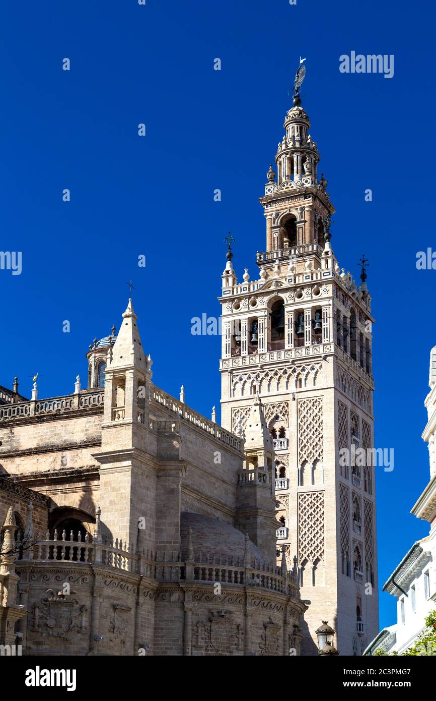 Il campanile Giralda (la Giralda) della Cattedrale di Siviglia, Siviglia, Spagna Foto Stock