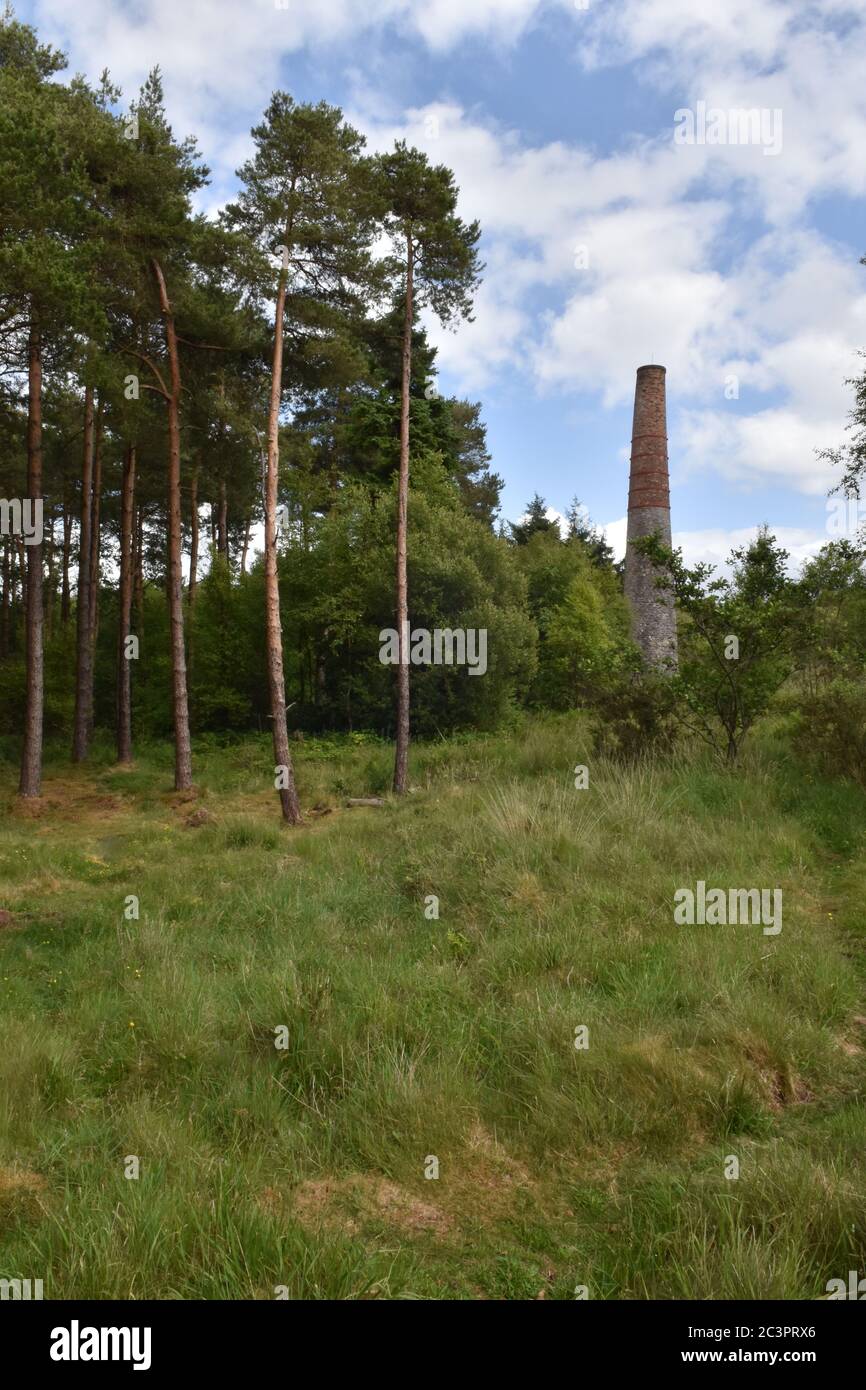 Smitham Chimney, East Harptree Woods, Somerset, Regno Unito Foto Stock