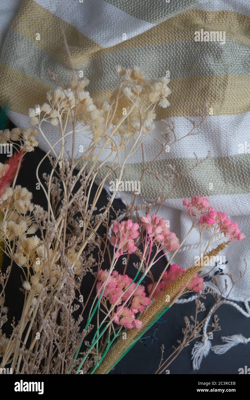 Fiori secchi per composizioni floreali Foto Stock