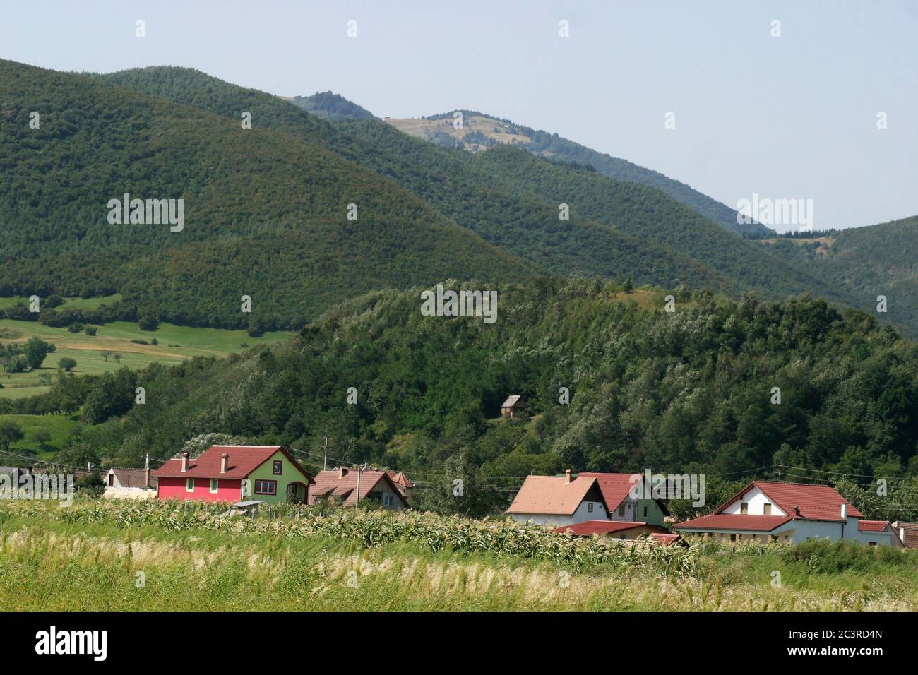 Paesaggio estivo nella contea di Sibiu, Romania. Nuove case costruite nella valle. Foto Stock