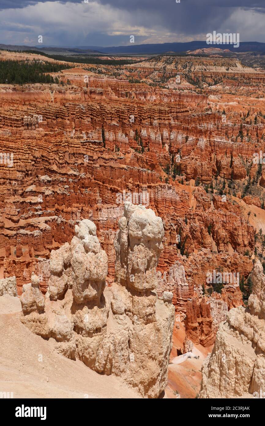 Viste verticali delle formazioni rocciose rosa erose di hoodoo al Bryce Canyon Utah Foto Stock