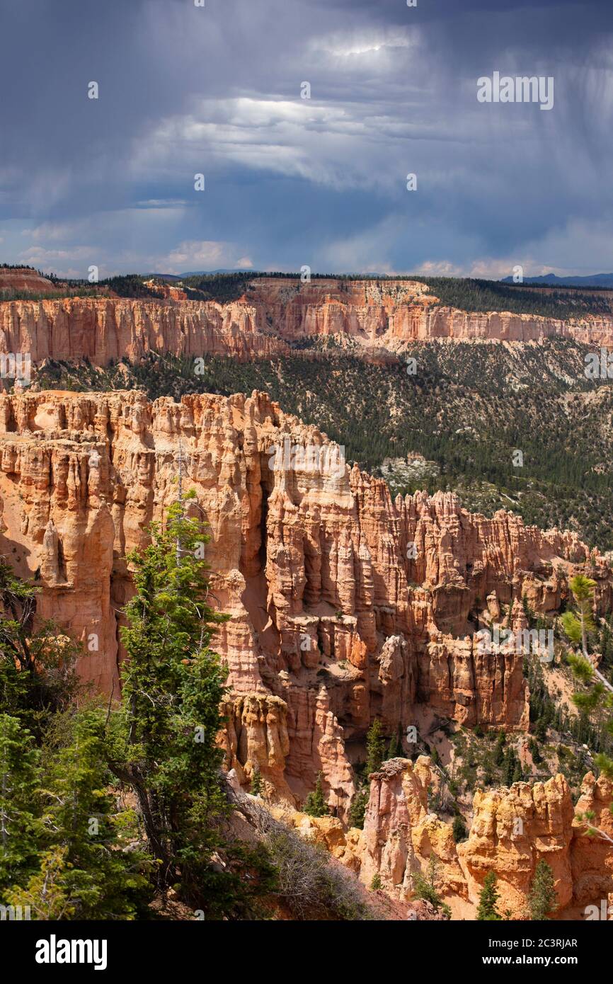 Viste verticali delle formazioni rocciose rosa erose di hoodoo al Bryce Canyon Utah Foto Stock
