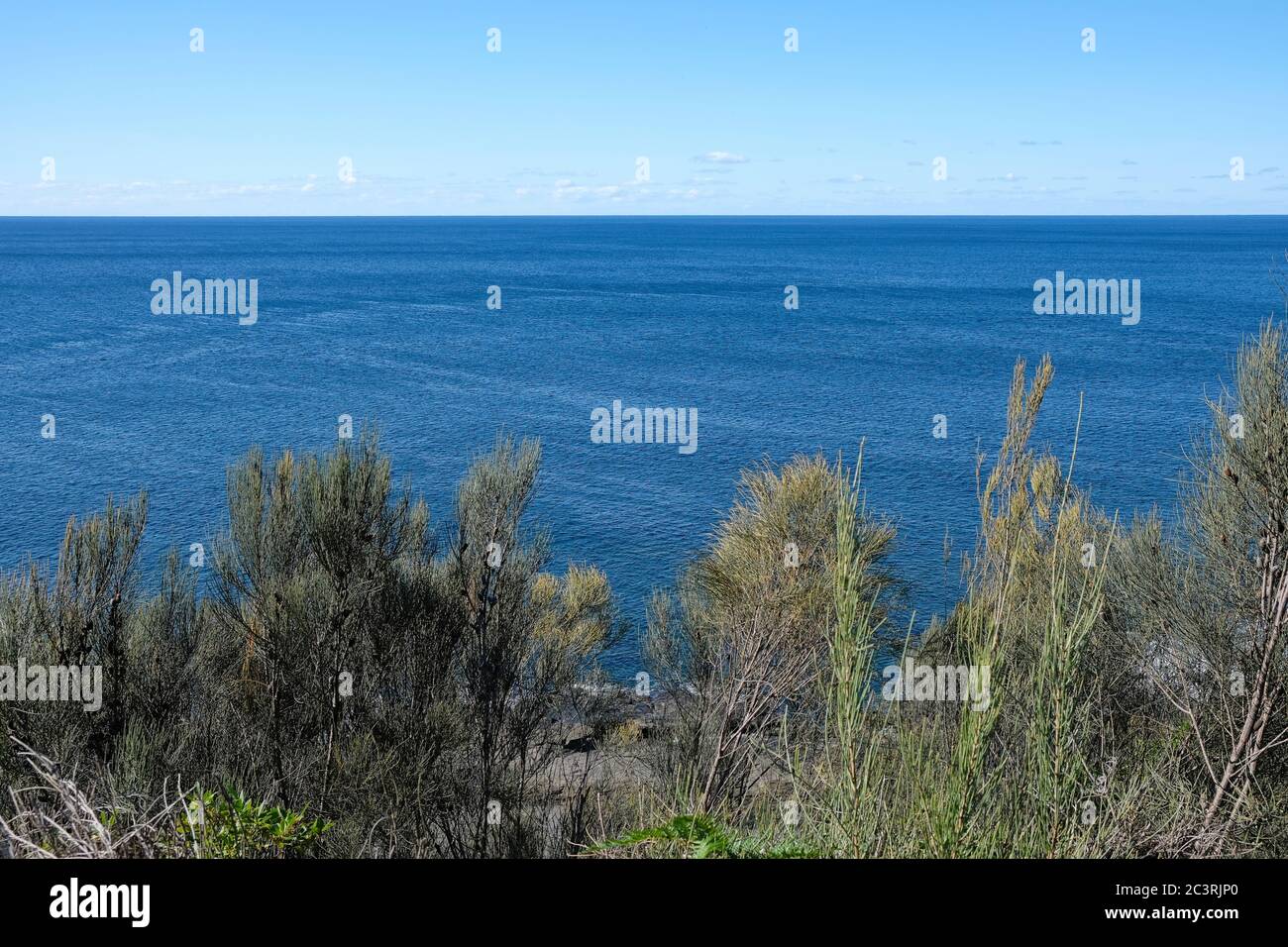 Vista sul mare o sull'oceano, da un promontorio e su arbusti e alberi, verso l'orizzonte. Foto Stock