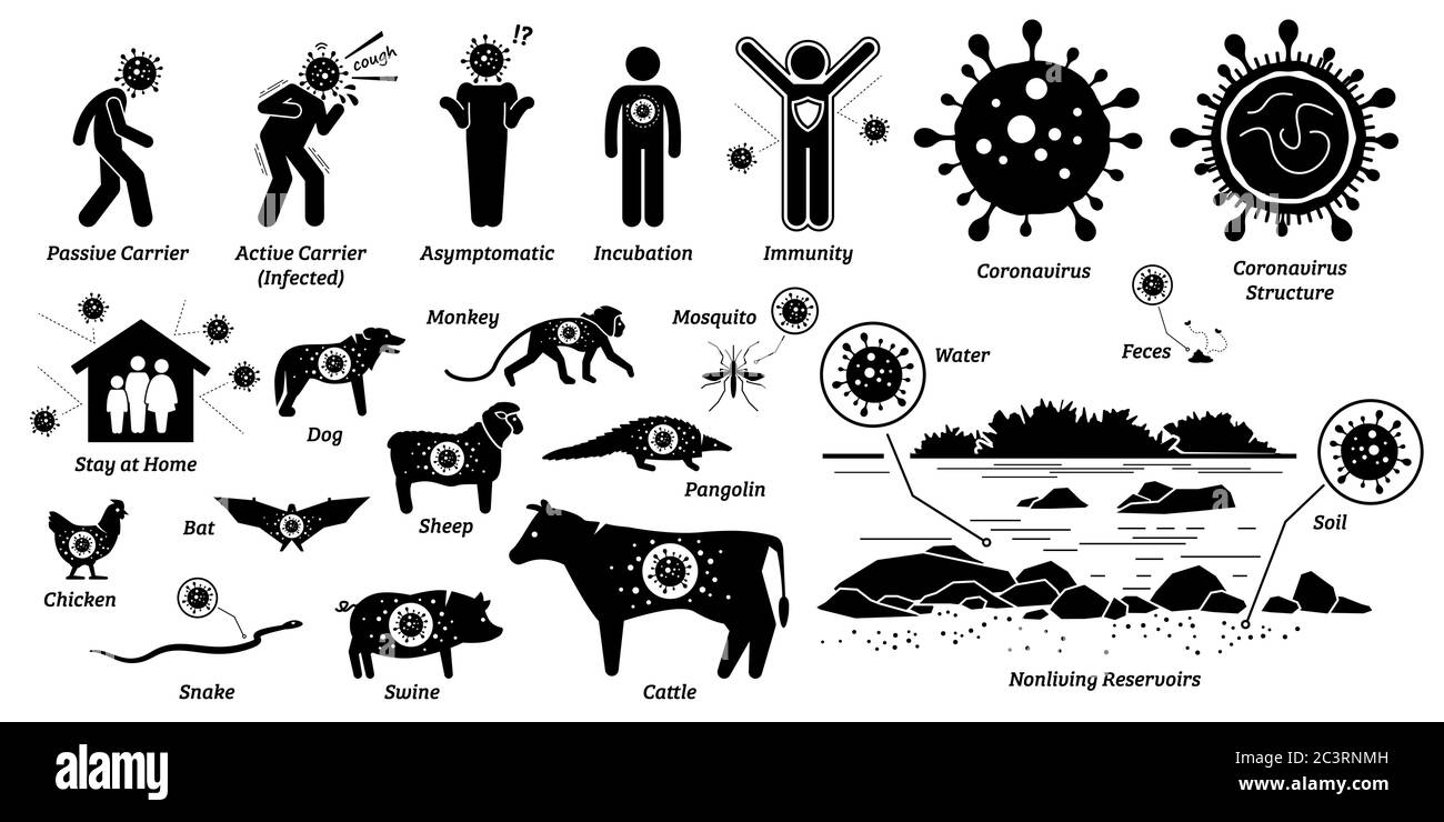Infezione da virus su organismi viventi e non viventi. Illustrazioni vettoriali di esseri umani e animali infetti da influenza, influenza e virus. Umano e. Illustrazione Vettoriale