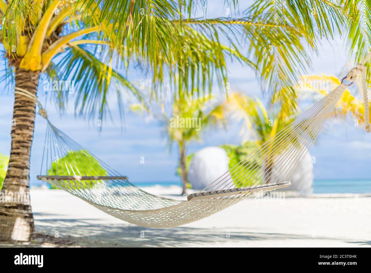 Amaca da spiaggia, arte rilassante e rilassante umore estivo. Destinazione esotica, guardaroba di lusso, palme e calde vibrazioni estive sulla spiaggia Foto Stock
