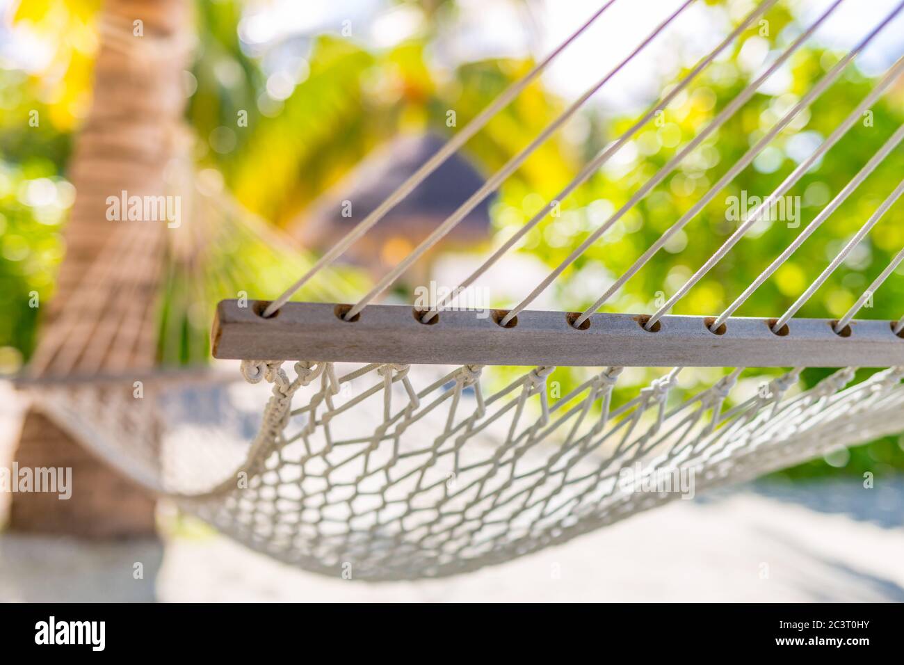 Amaca da spiaggia, arte rilassante e rilassante umore estivo. Destinazione esotica, guardaroba di lusso, palme e calde vibrazioni estive sulla spiaggia Foto Stock