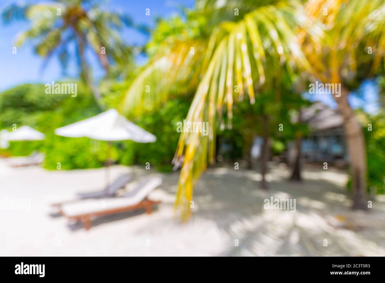 Estate spiaggia di sabbia esotica con palme sfocate e mare sullo sfondo. Foto Stock