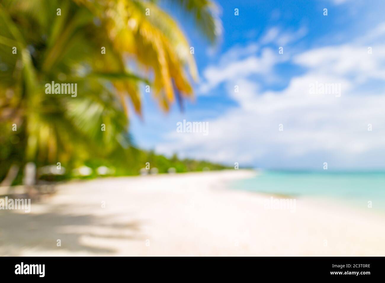 Spiaggia sfocata con foglia di palma su sabbia bianca. Natura tropicale, vista mare bokeh come paesaggio esotico, scena estiva con spazio copia Foto Stock