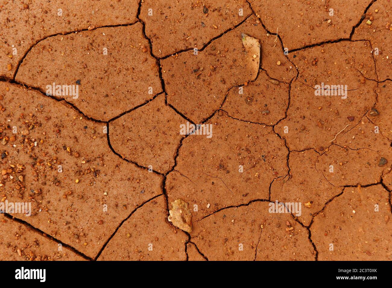 Cracks of the dried soil in arid season / Arid soil , Cracked earth texture of ground broken and rough surface red mud clay top view Foto Stock