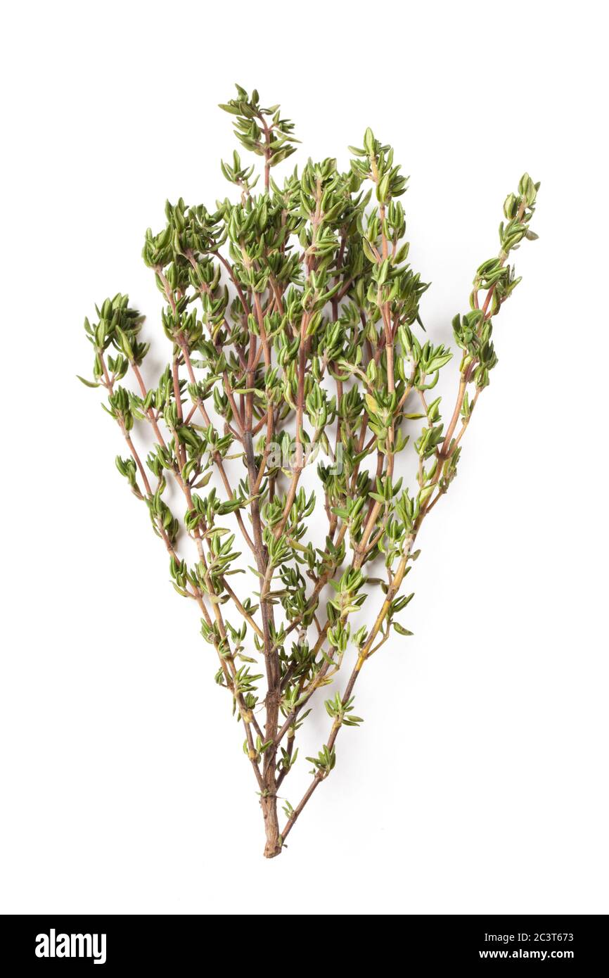 Mazzo di erbe salate fresche e mature isolato su sfondo bianco Foto Stock