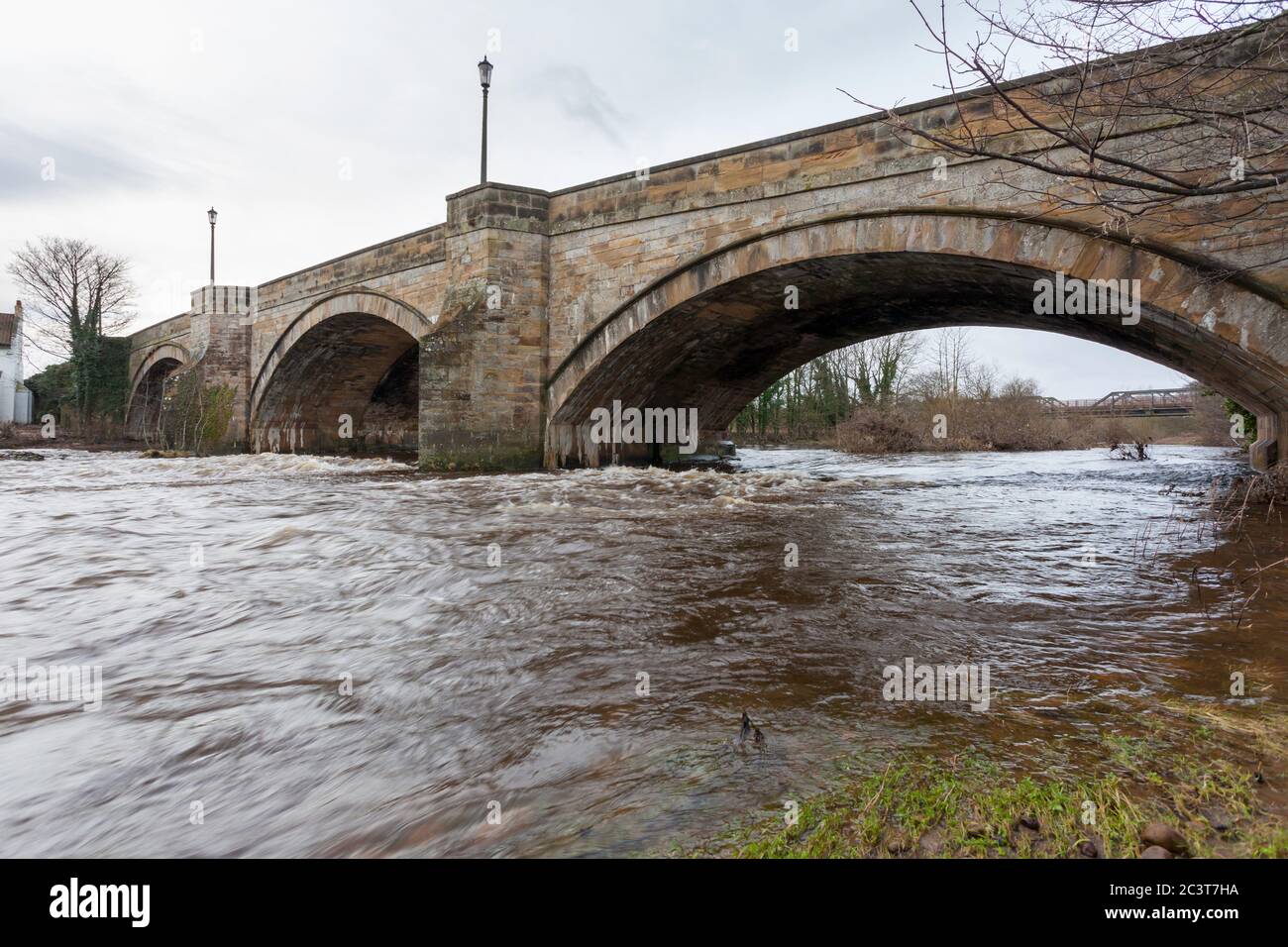 Lo storico ponte in pietra sul fiume Swale al Catterick Bridge nel North Yorkshire Foto Stock