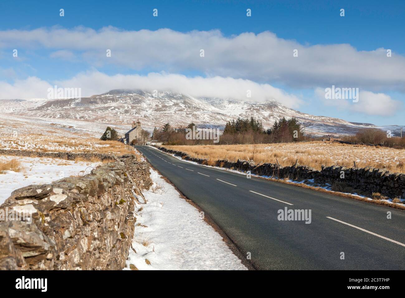 Vista invernale di un Wild Boar innevato cadde nello Yorkshire Dales Natioanl Park Foto Stock