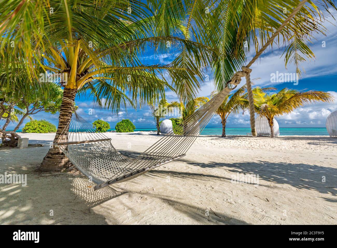 Amaca tropicale sulla spiaggia appesa su un albero di palme sulle Maldive. Incredibili atmosfere estive e atmosfera da spiaggia, amaca rilassante per attività ricreative all'aperto Foto Stock