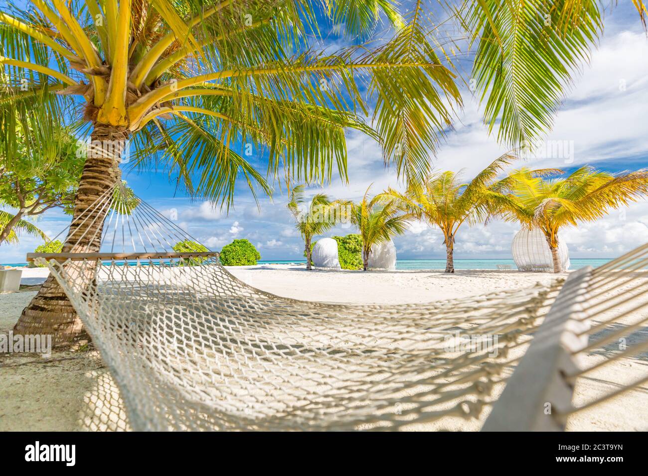 Amaca tropicale sulla spiaggia appesa su un albero di palme sulle Maldive. Incredibili atmosfere estive e atmosfera da spiaggia, amaca rilassante per attività ricreative all'aperto Foto Stock