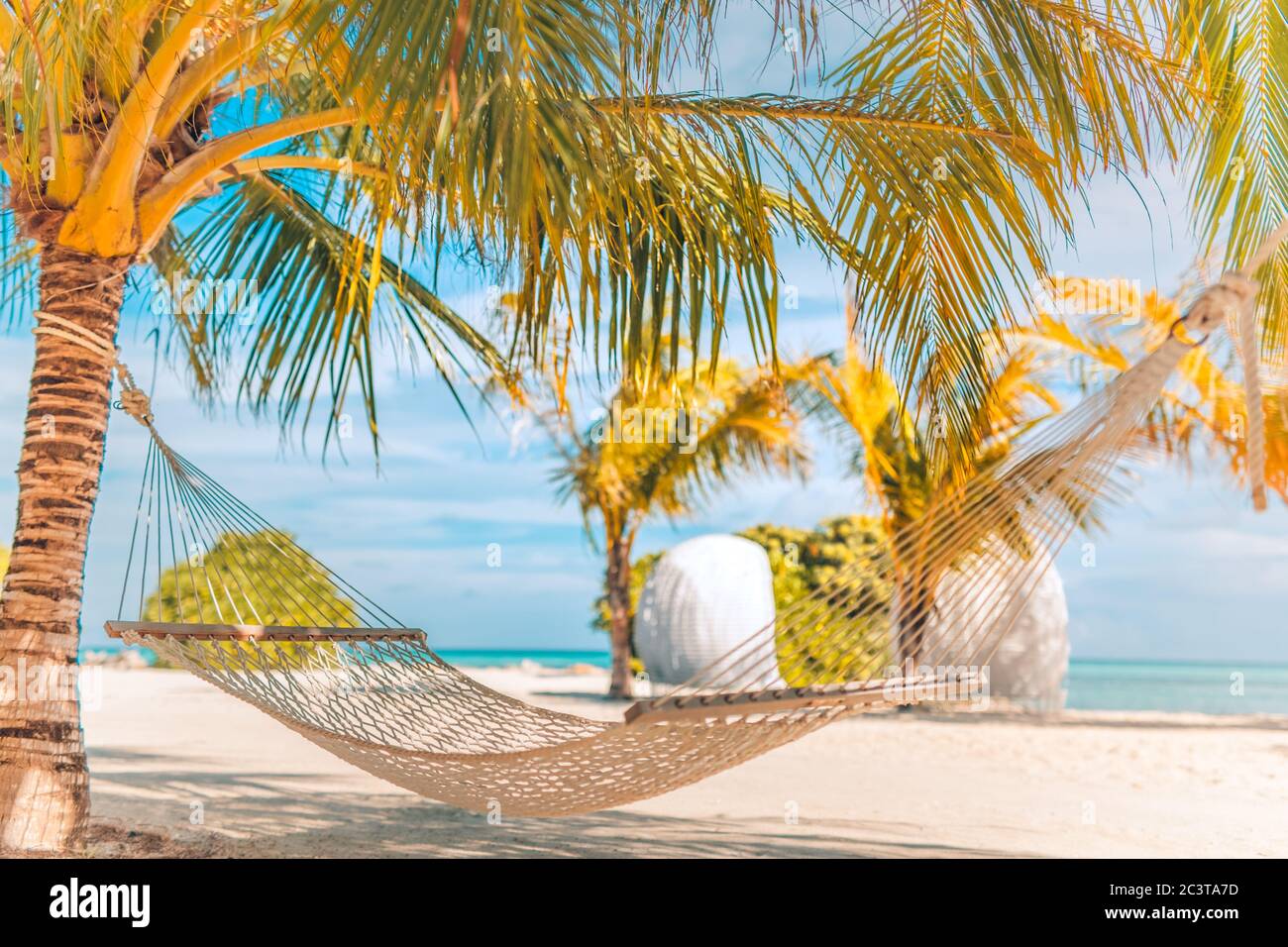 Amaca tropicale sulla spiaggia appesa su un albero di palme sulle Maldive. Incredibili atmosfere estive e atmosfera da spiaggia, amaca rilassante per attività ricreative all'aperto Foto Stock