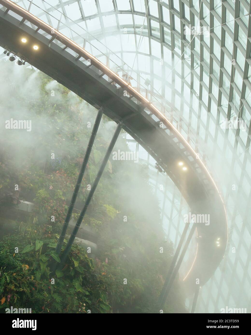 Vista interna con nebulizzazione attivata. Conservatori raffreddati, Gardens by the Bay, Singapore, Singapore. Architetto: Wilkinson Eyre Architects, 2011. Foto Stock