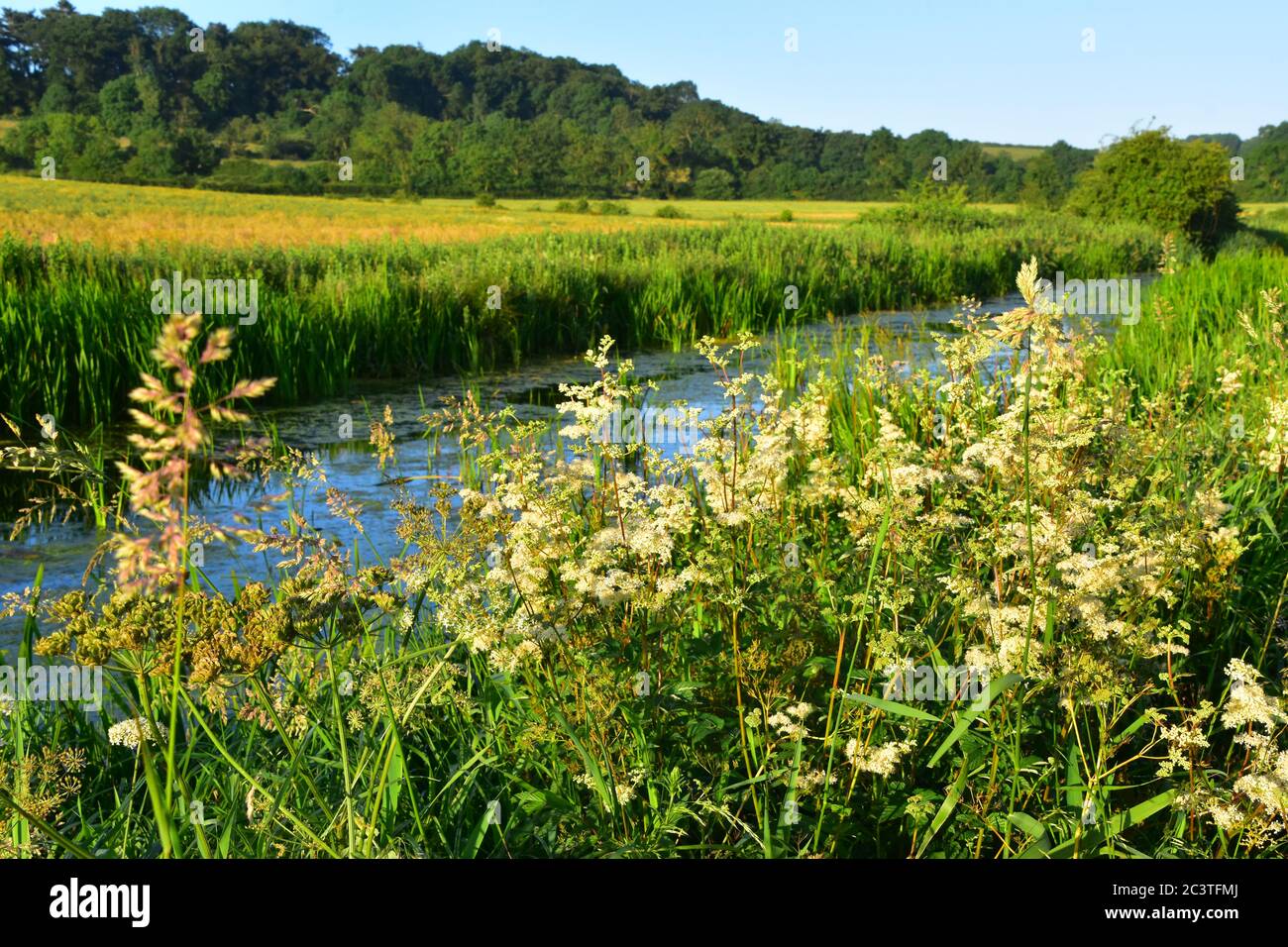 Grantham Canal, vale di Belvoir Foto Stock