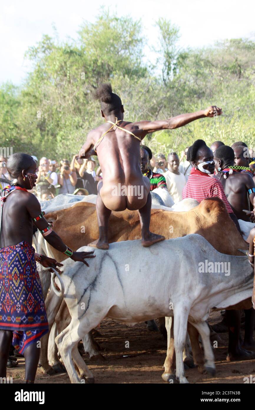 Africa, Etiopia, Omo River Valley Hamer tribù il salto del tori cerimonia. La avviare salti su una linea di dieci o più della sua famiglia di tori Foto Stock