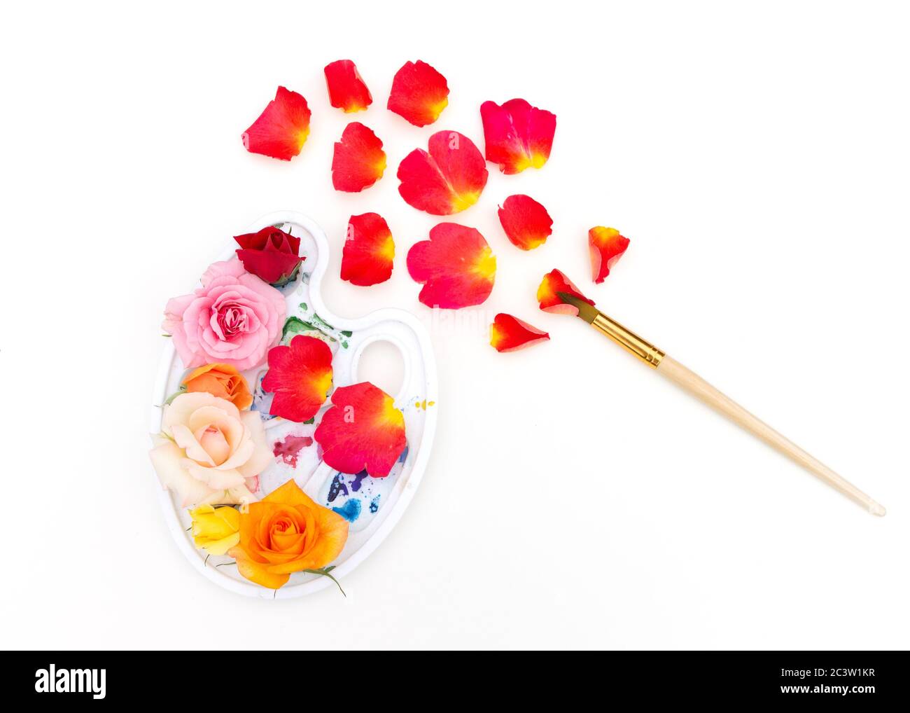 Tavolozza di colori acquerelli con boccioli di rosa multicolore e pennello artistico su sfondo bianco. I colori dell'estate. Concetto creativo di estate colorata. Foto Stock