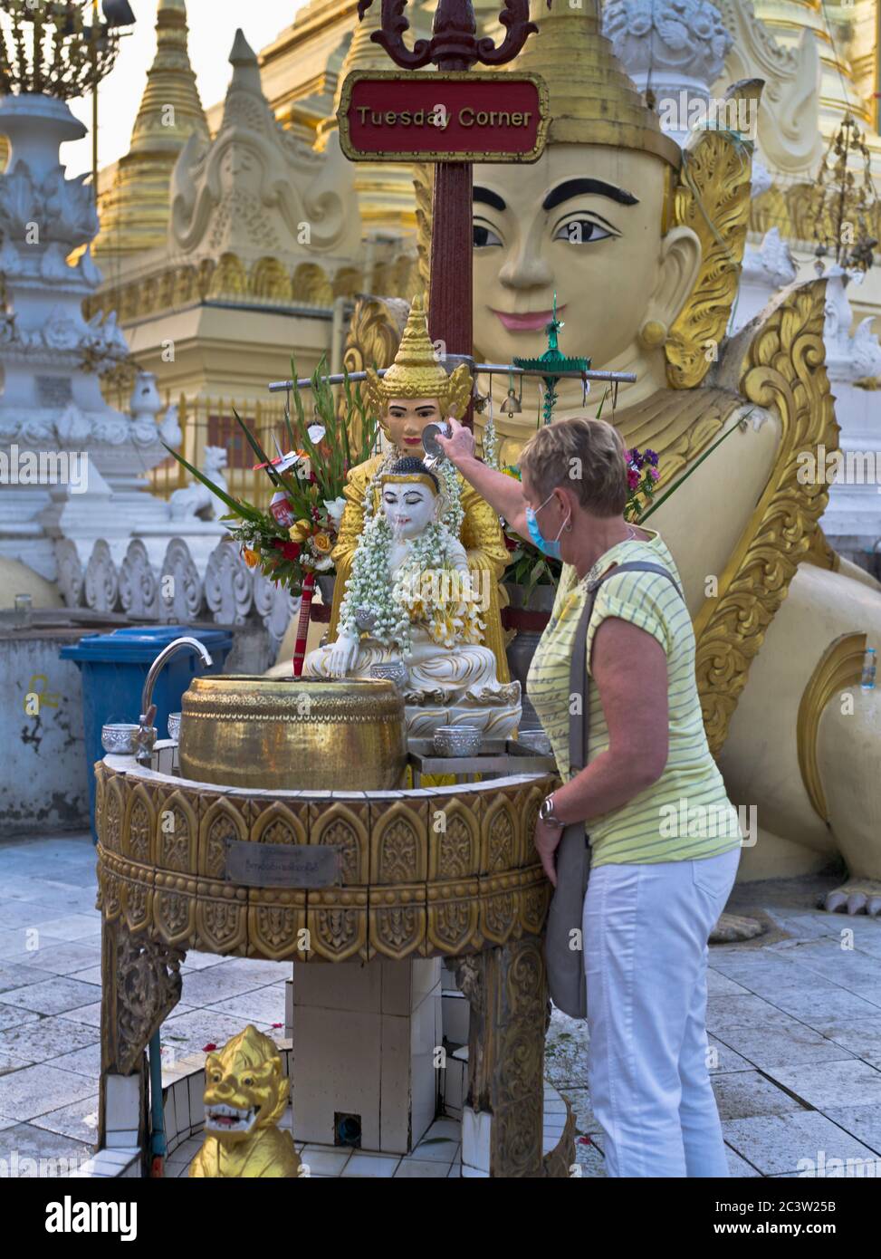 dh Shwedagon Pagoda tempio YANGON MYANMAR turista donna di lavaggio buddha Rituale Grande Dagon Zedi Daw rituali tradizionali culturali dell'Estremo Oriente religioso Foto Stock