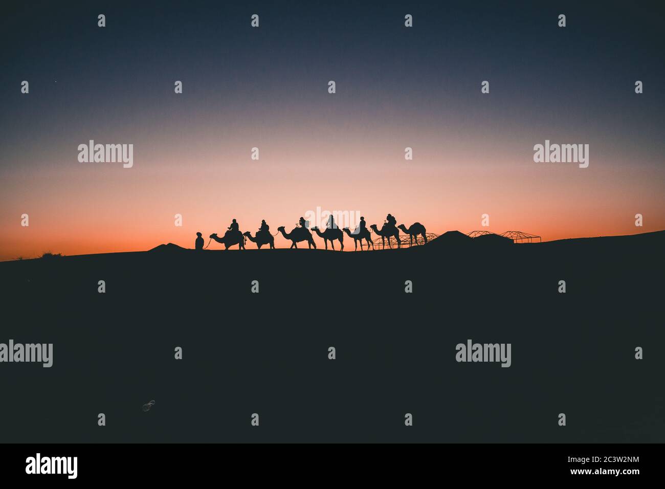 Bella silhouette di cammelli in viaggio Tour attraverso Sahara deserto Tramonto Foto Stock