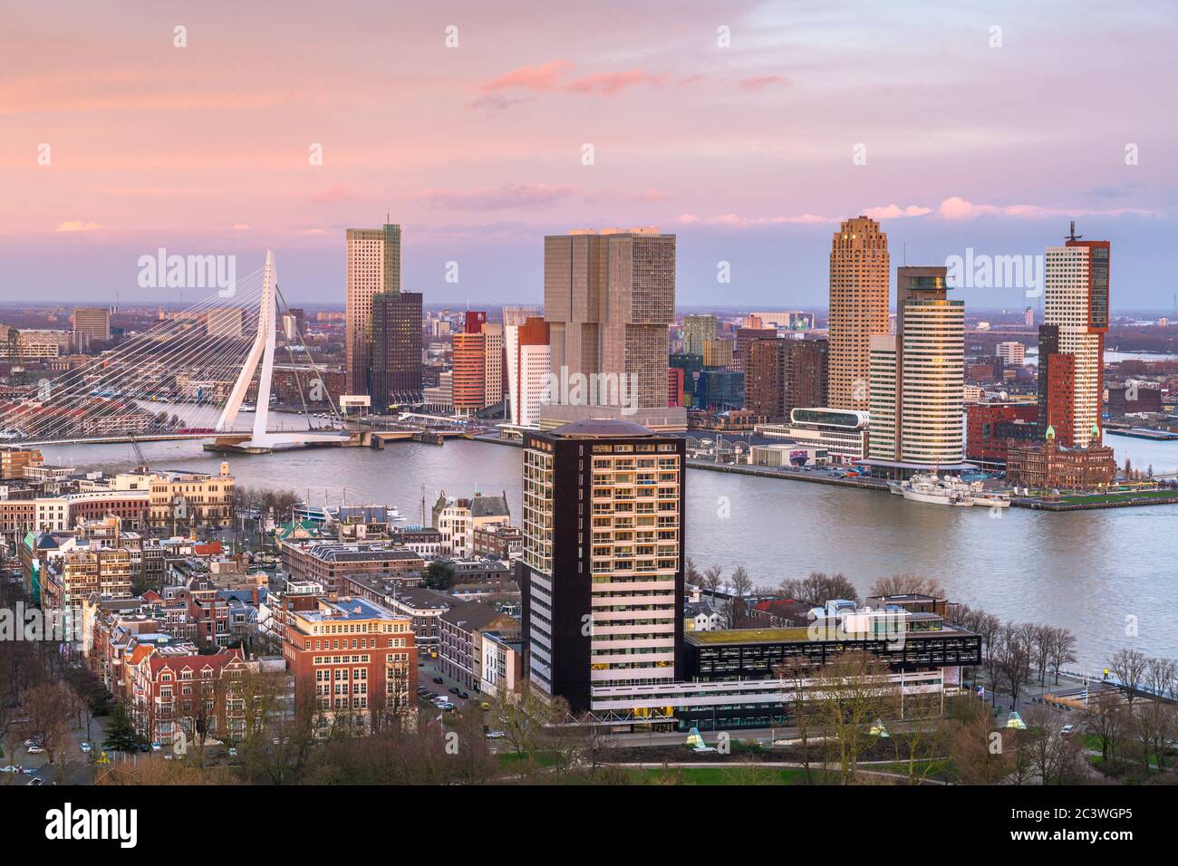 Rotterdam, Paesi Bassi, skyline della città sul fiume Nieuwe Maas al crepuscolo. Foto Stock
