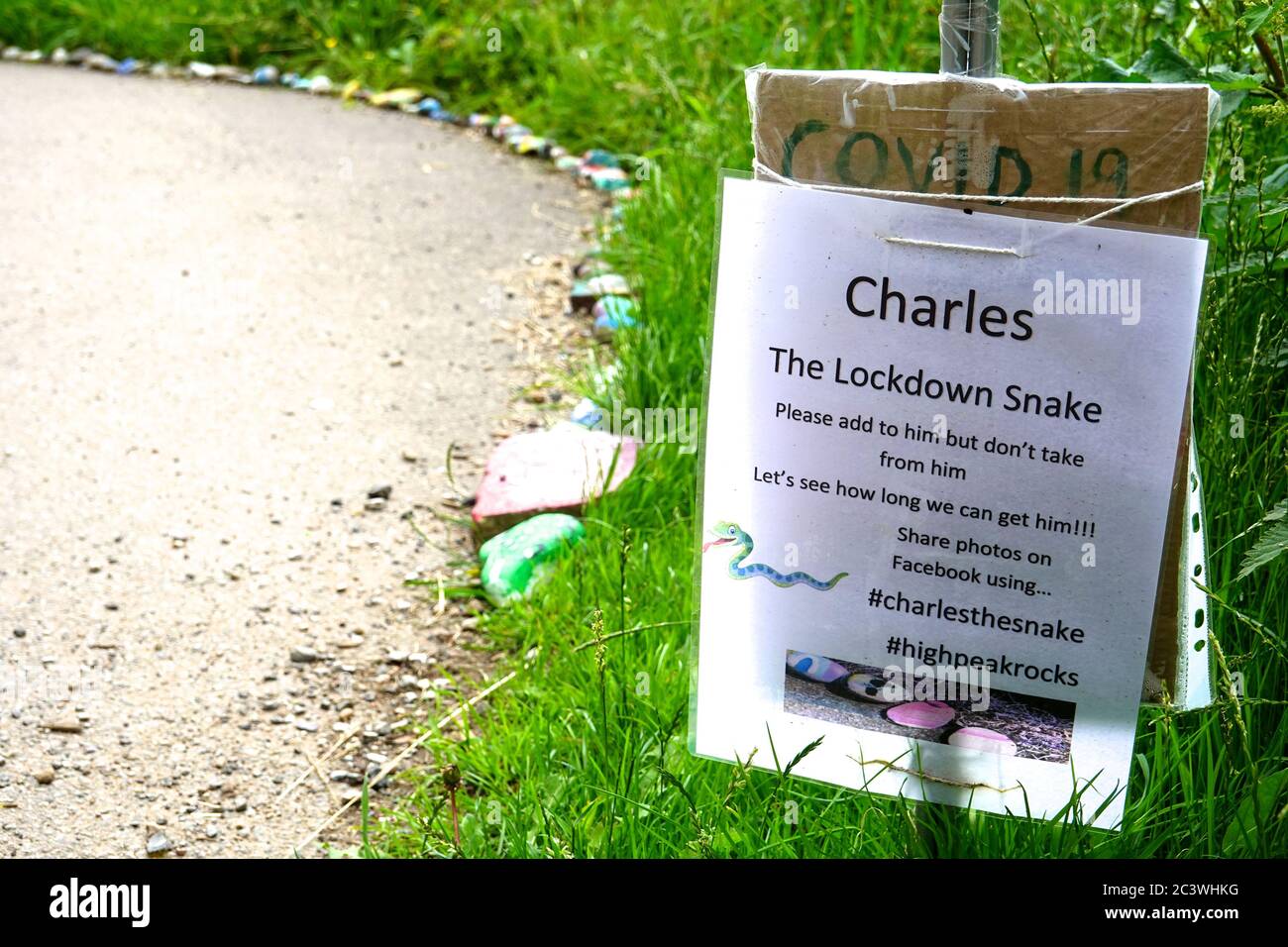 New Mills, Derbyshire 20-06-22 le pietre di serpente sul sentiero di valle di Sett. Sono un tentativo di illuminare la nostra vita durante il blocco, portato dal coronavirus. Il serpente si estende per venti - trenta metri. Foto Stock