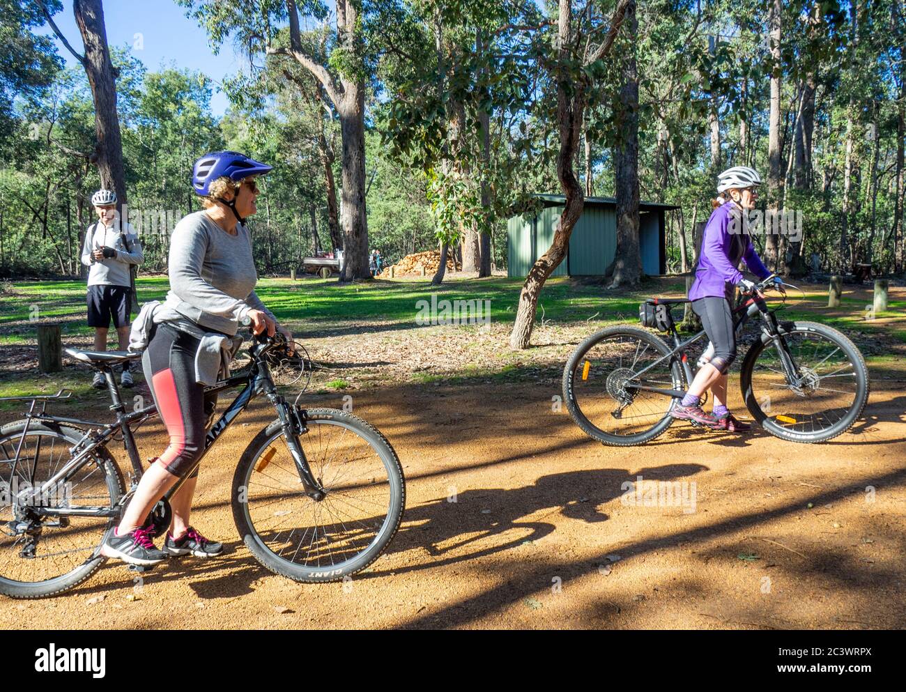 Ciclisti che cavalcano mountain bike in bicicletta Old Timberline Trail percorso attraverso eucalipto foresta Nannup sud-ovest Australia occidentale. Foto Stock