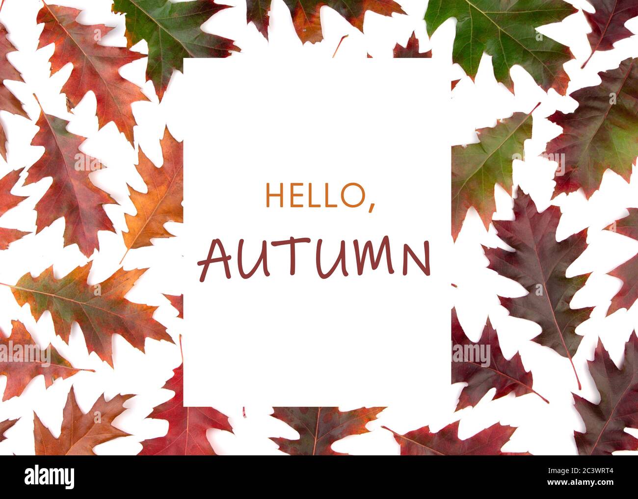 Composizione di foglie secche d'autunno su sfondo bianco. Cornice per testo Ciao autunno. Foto Stock