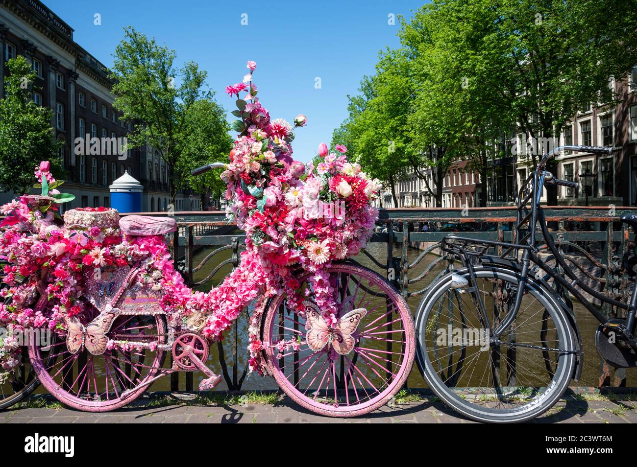 Bicicletta rosa parcheggiata su un ponte ad Amsterdam, Paesi Bassi Foto Stock