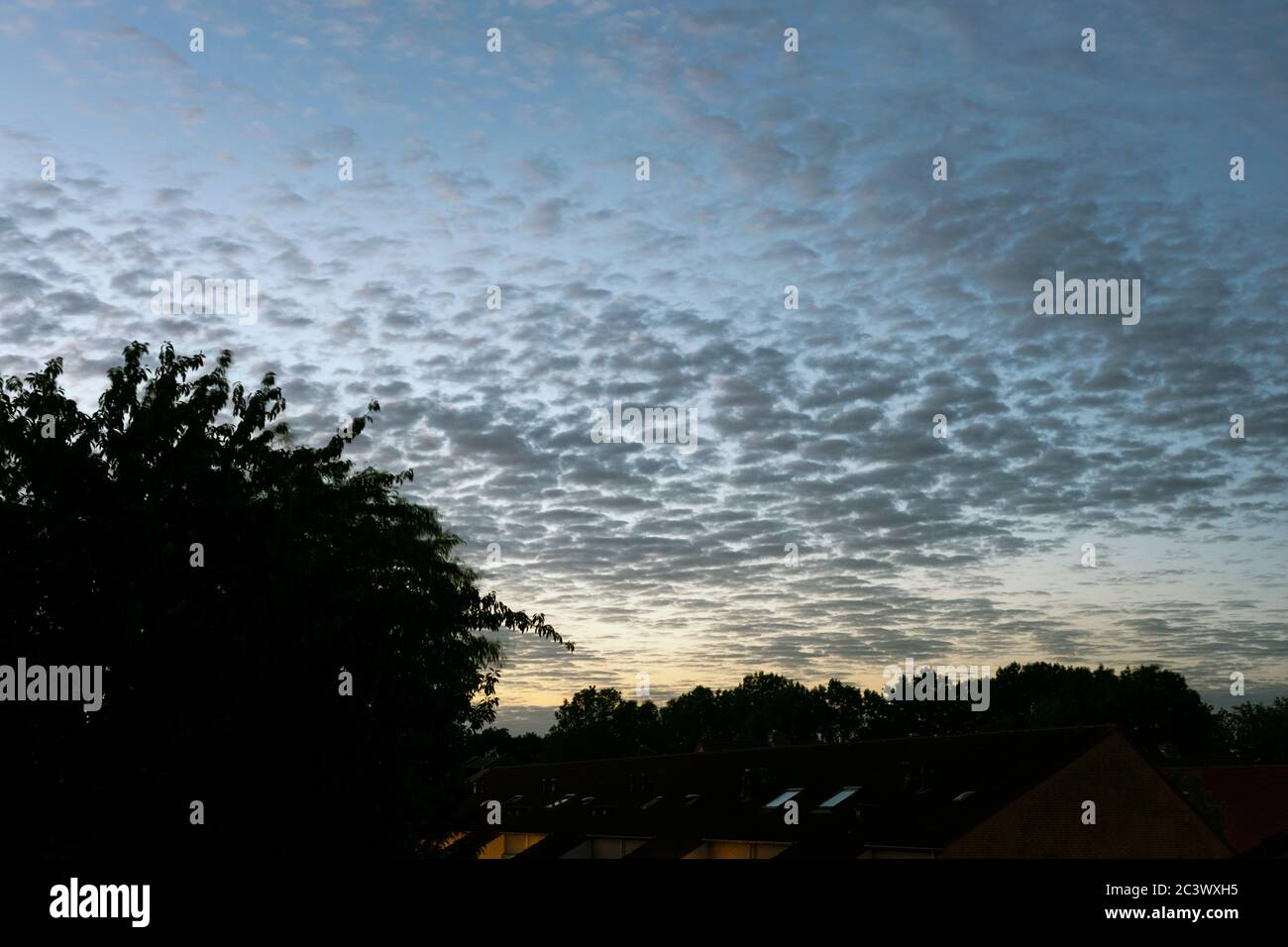 Nubi di pecora (altocumulo) nel cielo serale Foto Stock