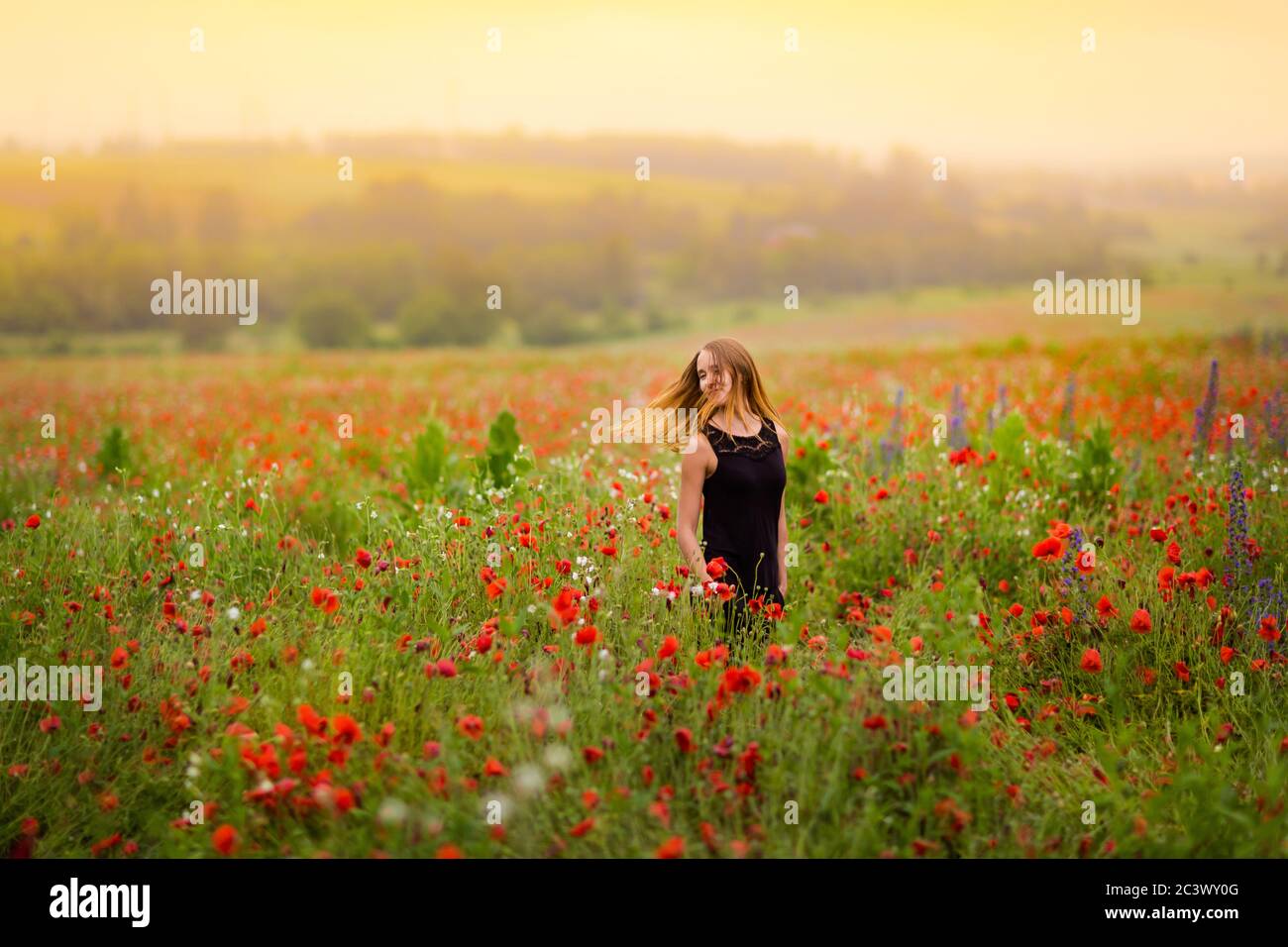 Bella giovane donna che si rilassa in un bel campo di papavero rosso. Campagna, prato naturale in Polonia. Foto Stock