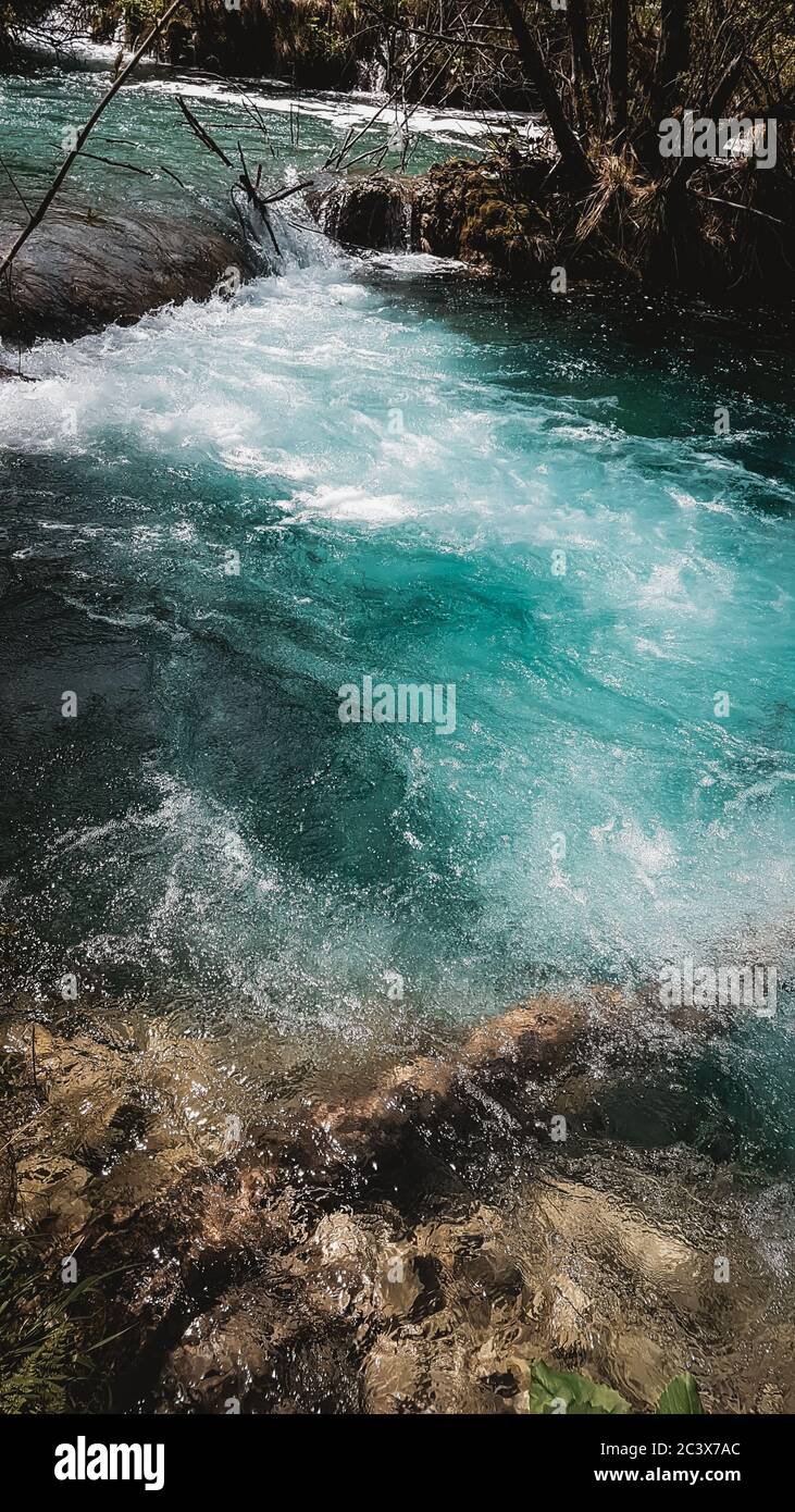 Miracolosa immagine ravvicinata delle acque cristalline di uno dei laghi di Plitvice. Incredibile bellezza naturale tartaruga colore dell'acqua. In basso visibile. Foto Stock
