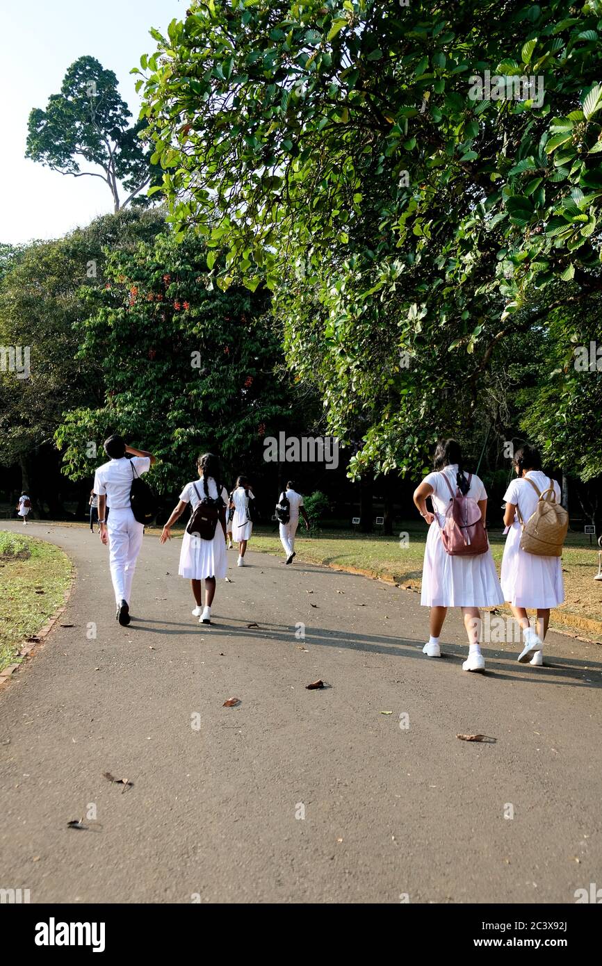 Un gruppo di bambini della scuola dello Sri Lanka che camminano nel giardino botanico di Kandy, Sri Lanka. Scolari in un tour con gli amici. Foto Stock